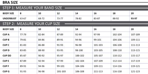 Bra Size Calculator